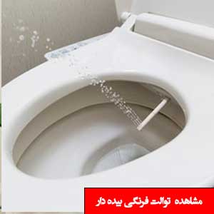 تصویر برای دسته  توالت فرنگی بیده دار (خودشور )