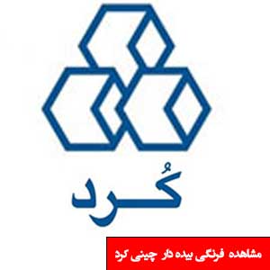 تصویر برای دسته  توالت فرنگی بیده دار چینی کرد