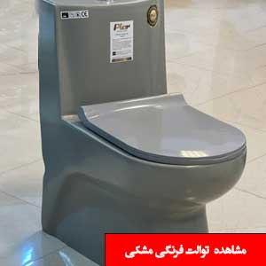 تصویر برای دسته  توالت فرنگی طوسی