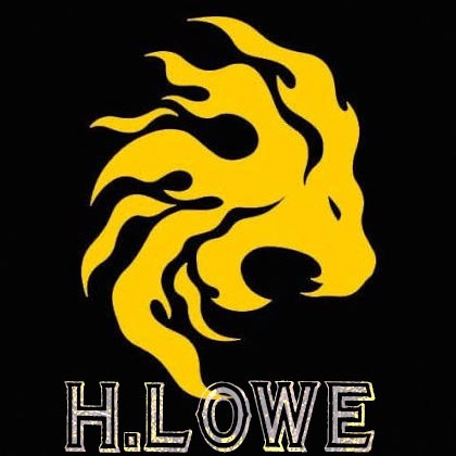 تصویر برای دسته  سینک گرانیتی H.LOWE